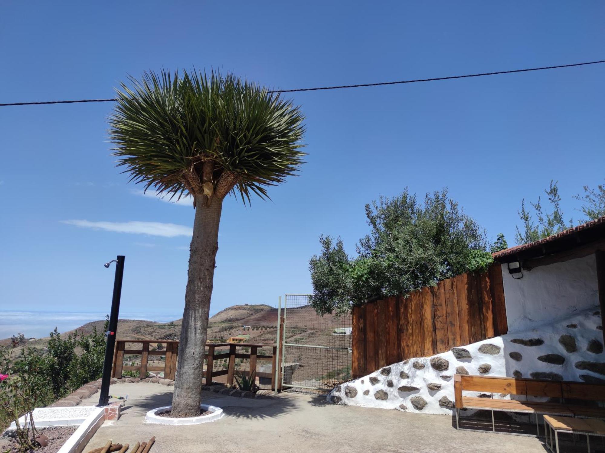 Finca Cho Rafael Galdar Exterior photo